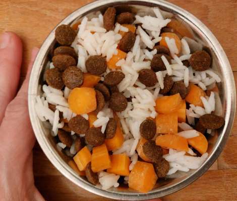 Zeigt her Eure Futternäpfe-Beitrag-Bild