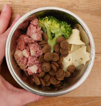 Zeigt her Eure Futternäpfe-Beitrag-Bild