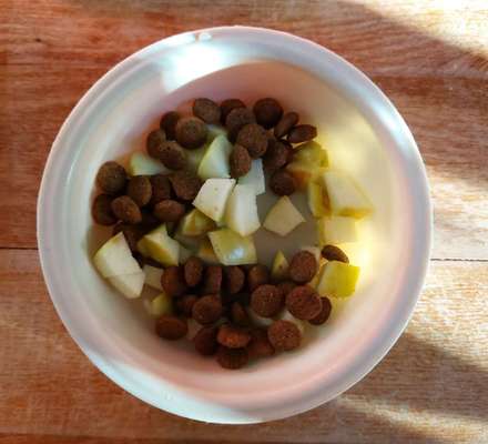 Zeigt her Eure Futternäpfe-Beitrag-Bild