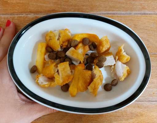 Zeigt her Eure Futternäpfe-Beitrag-Bild