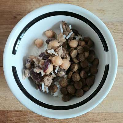 Zeigt her Eure Futternäpfe-Beitrag-Bild