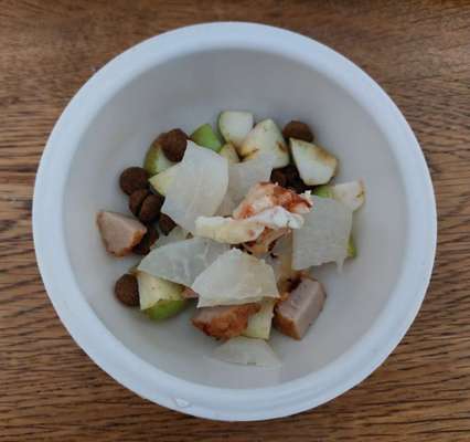 Zeigt her Eure Futternäpfe-Beitrag-Bild