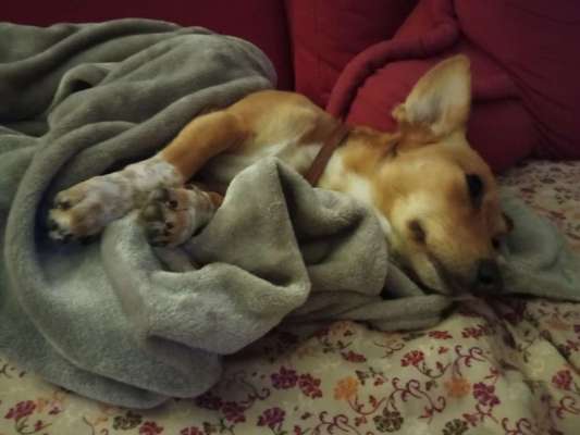 Die unbequemsten und lustigsten Schlafpositionen-Beitrag-Bild