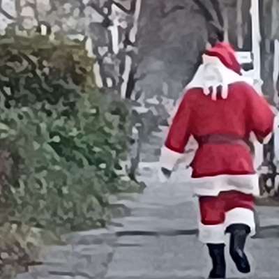 Die besten Gassifunde-Beitrag-Bild