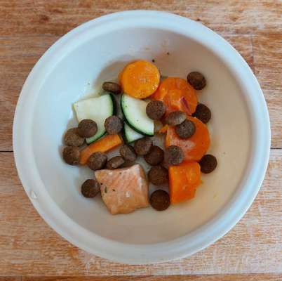 Zeigt her Eure Futternäpfe-Beitrag-Bild