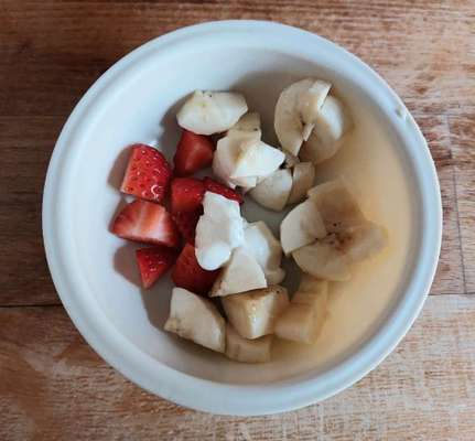 Zeigt her Eure Futternäpfe-Beitrag-Bild