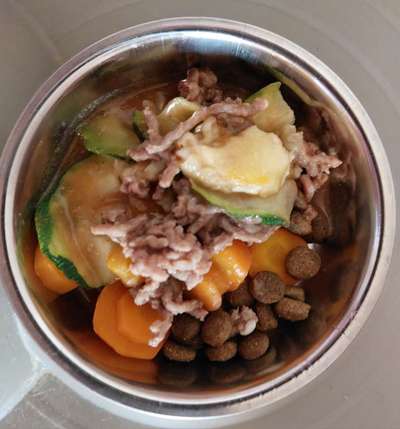 Zeigt her Eure Futternäpfe-Beitrag-Bild