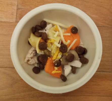 Zeigt her Eure Futternäpfe-Beitrag-Bild