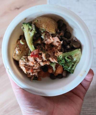 Zeigt her Eure Futternäpfe-Beitrag-Bild