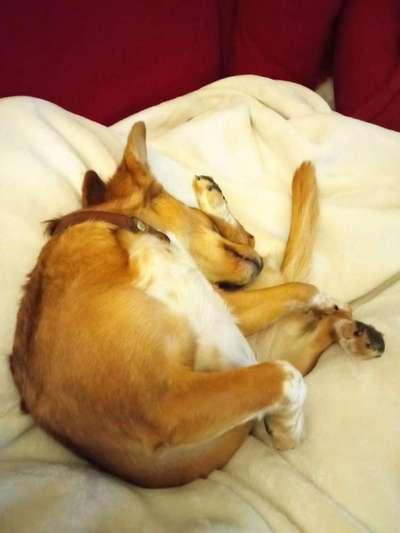 Foto Challange Nr.80-Beitrag-Bild