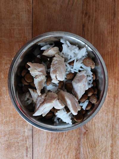 Zeigt her Eure Futternäpfe-Beitrag-Bild