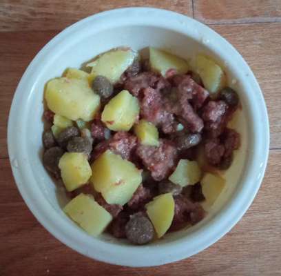 Zeigt her Eure Futternäpfe-Beitrag-Bild