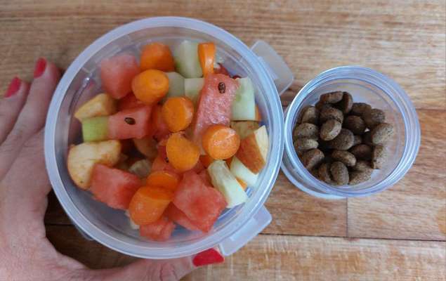 Zeigt her Eure Futternäpfe-Beitrag-Bild