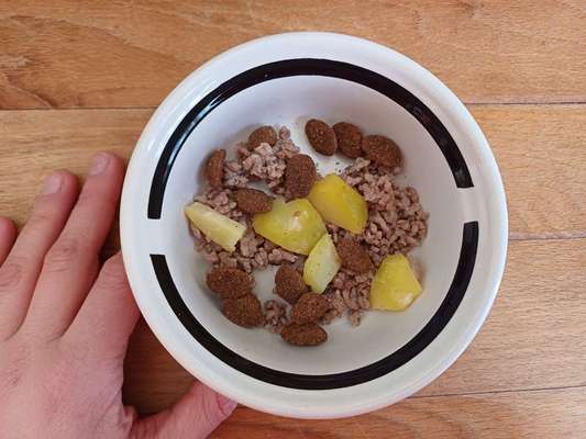 Zeigt her Eure Futternäpfe-Beitrag-Bild