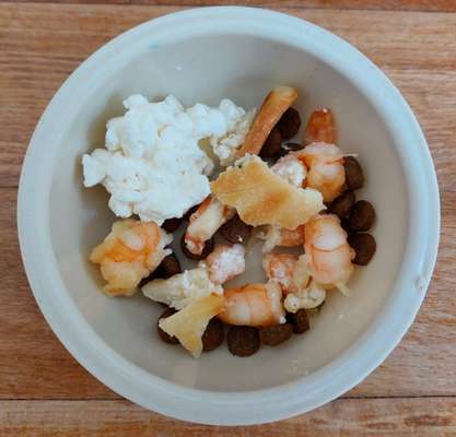 Zeigt her Eure Futternäpfe-Beitrag-Bild