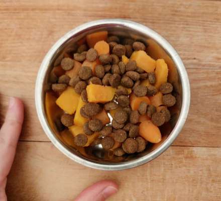 Zeigt her Eure Futternäpfe-Beitrag-Bild