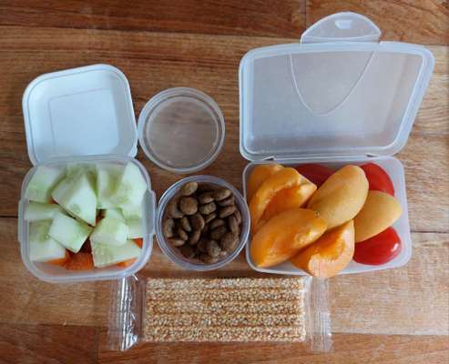 Zeigt her Eure Futternäpfe-Beitrag-Bild