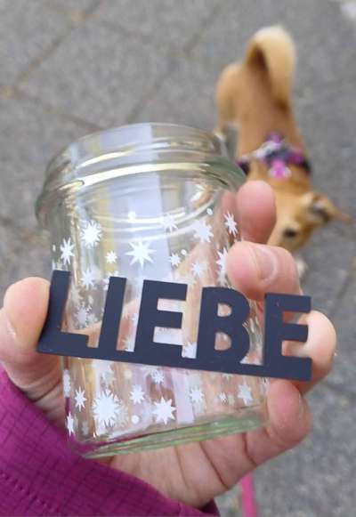 Die besten Gassifunde-Beitrag-Bild