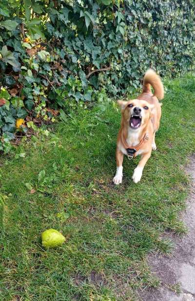 26. Handy Foto Challenge-Beitrag-Bild