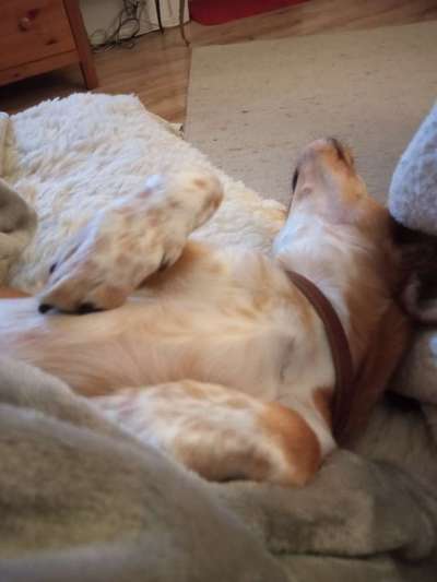 Blick fürs Detail!-Beitrag-Bild