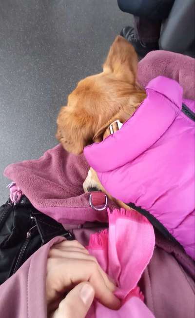 Wer näht Decken to Go?-Beitrag-Bild