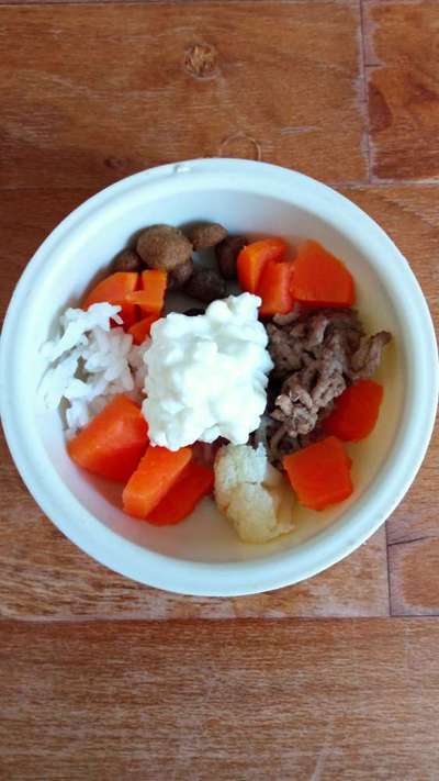 Zeigt her Eure Futternäpfe-Beitrag-Bild