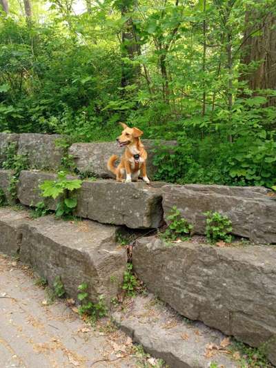 Dogorama Photo Challenge - Steine/Felsen-Beitrag-Bild