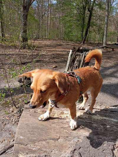 Theos Fotochallenge Nr. 3-Beitrag-Bild