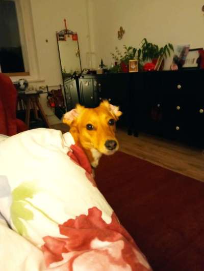 20. Handy -Foto-Callenge-Beitrag-Bild