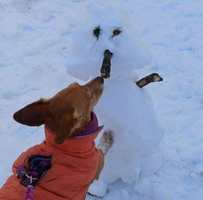 Anpassen bei Minusgraden-Beitrag-Bild