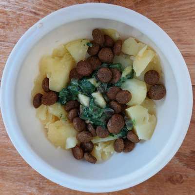 Zeigt her Eure Futternäpfe-Beitrag-Bild