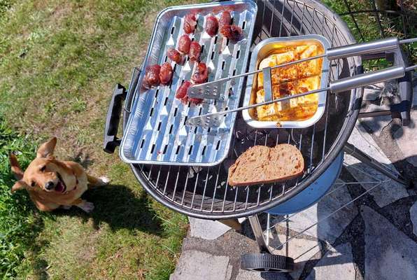 Zeigt her Eure Futternäpfe-Beitrag-Bild