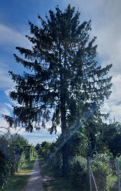 Die wunderschöne Welt mit Hund.-Beitrag-Bild