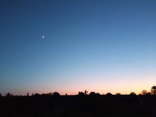 Die wunderschöne Welt mit Hund.-Beitrag-Bild