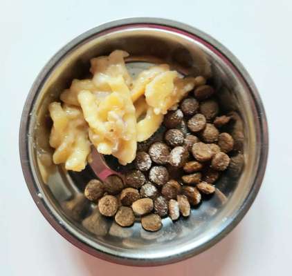 Zeigt her Eure Futternäpfe-Beitrag-Bild