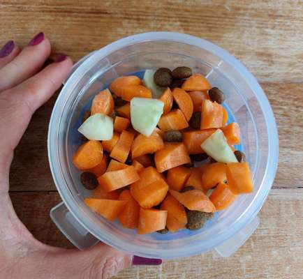 Zeigt her Eure Futternäpfe-Beitrag-Bild