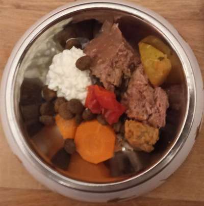 Zeigt her Eure Futternäpfe-Beitrag-Bild