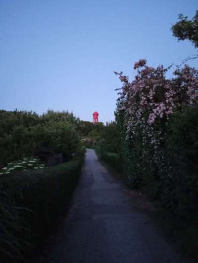 Die wunderschöne Welt mit Hund.-Beitrag-Bild