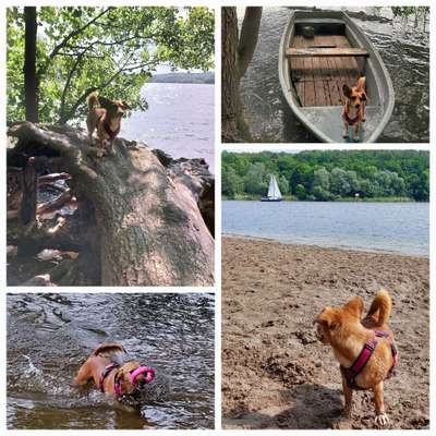 Eure schönsten Fotos mit Wasser-Beitrag-Bild