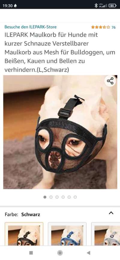 Brachycephale Hunderassen-Beitrag-Bild