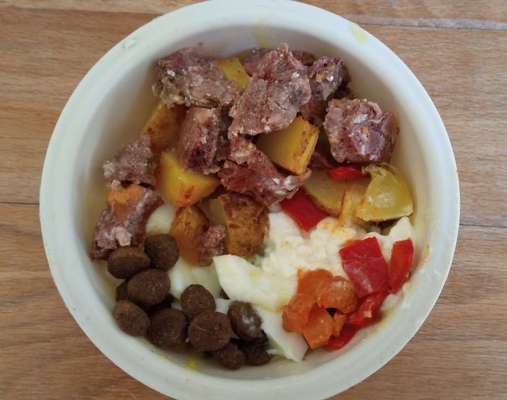 Zeigt her Eure Futternäpfe-Beitrag-Bild