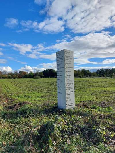Die wunderschöne Welt mit Hund.-Beitrag-Bild