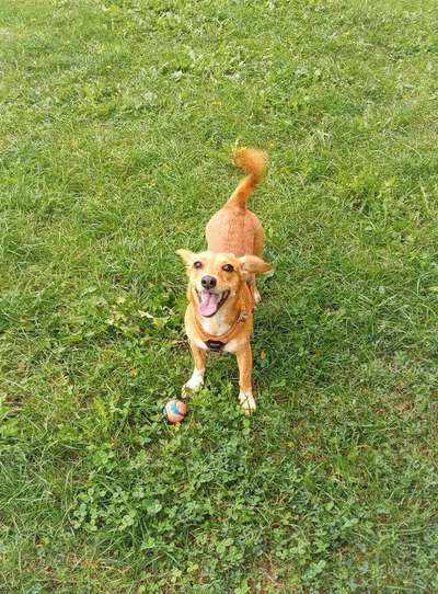 26. Handy Foto Challenge-Beitrag-Bild