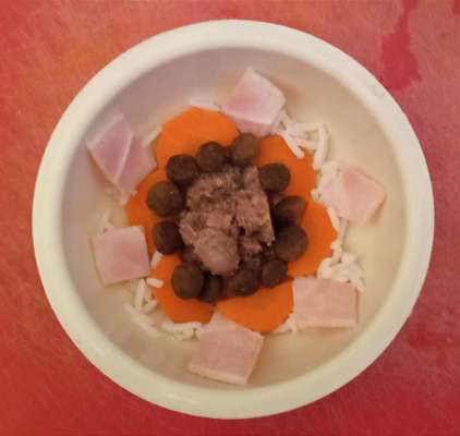 Zeigt her Eure Futternäpfe-Beitrag-Bild