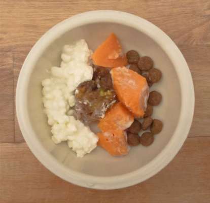 Zeigt her Eure Futternäpfe-Beitrag-Bild