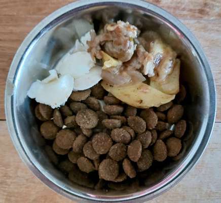 Zeigt her Eure Futternäpfe-Beitrag-Bild