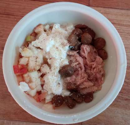 Zeigt her Eure Futternäpfe-Beitrag-Bild