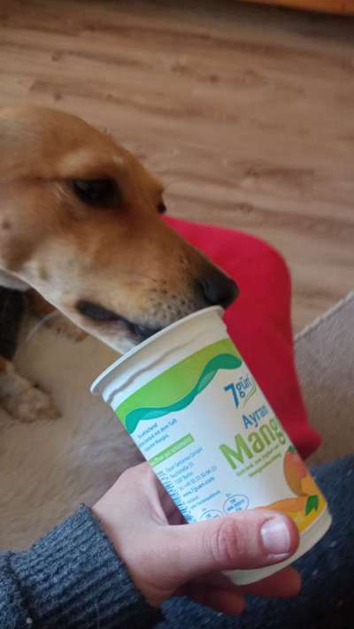 Zeigt her Eure Futternäpfe-Beitrag-Bild