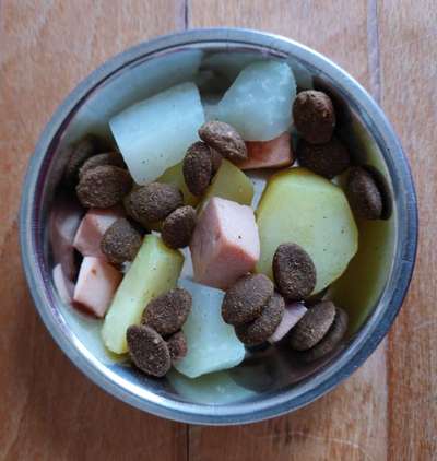 Zeigt her Eure Futternäpfe-Beitrag-Bild