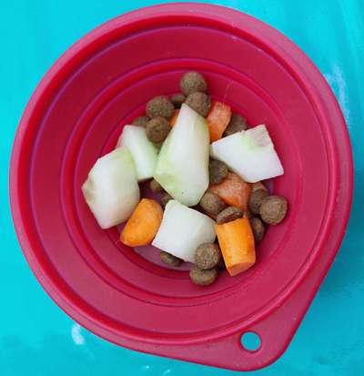 Zeigt her Eure Futternäpfe-Beitrag-Bild